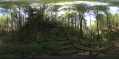 合川其它 (5)_1